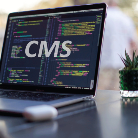 CMS Development Services banner
