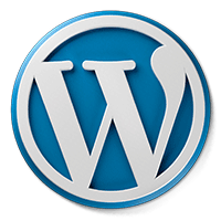 wordpress CMS development service